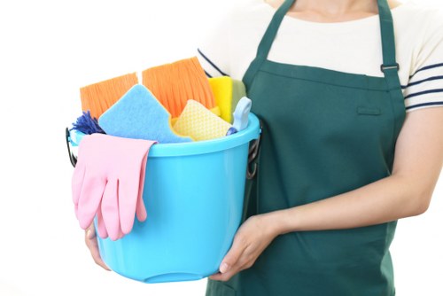 Professional cleaning company in Brixton serving local homes and businesses