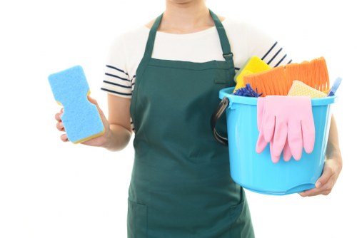 Illustration of inclusive Brixton oven cleaning service information