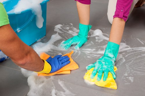 Customer complaint review for an oven cleaning service