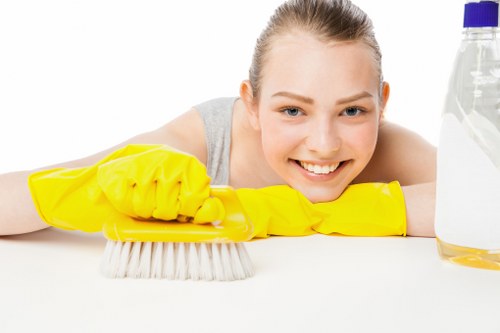 Deep carpet cleaning equipment in a Brixton home interior