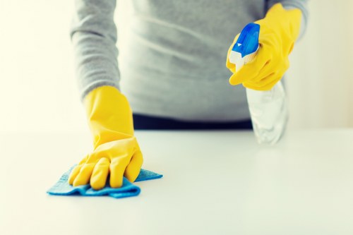 Oven cleaning service in Brixton for domestic kitchen appliances