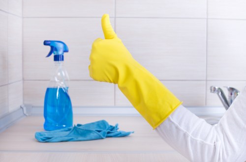 Eco-friendly oven cleaning in Brixton for a bright and hygienic appliance