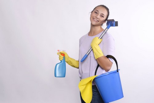 Careful sofa cleaning service for delicate furniture fabrics