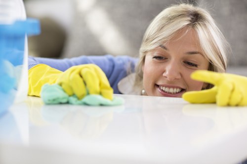 Professional cleaning service in Brixton for homes and offices
