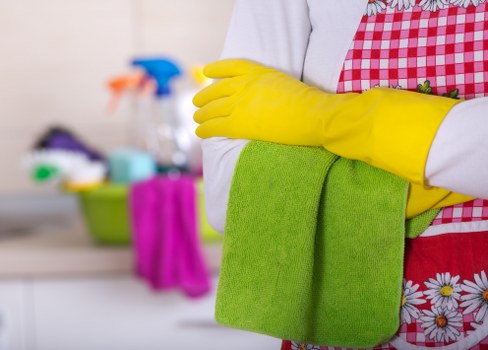 Range cooker and kitchen appliance cleaning in Brixton
