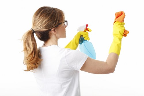 Professional carpet cleaner in Brixton treating a living room carpet