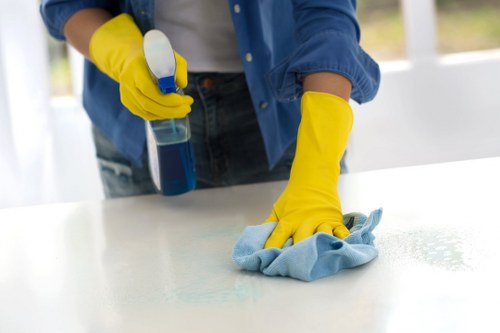 Professional oven cleaning team following insurance and safety procedures