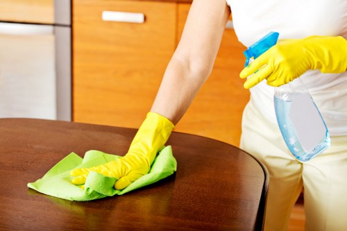 Free quote policy for oven cleaning in Brixton